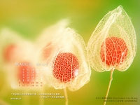 【桌布】2013福音月曆桌布─3月份