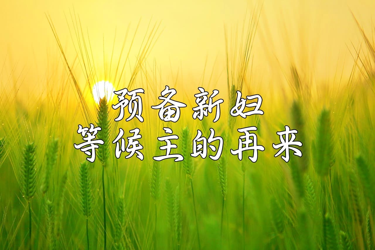 主的再来