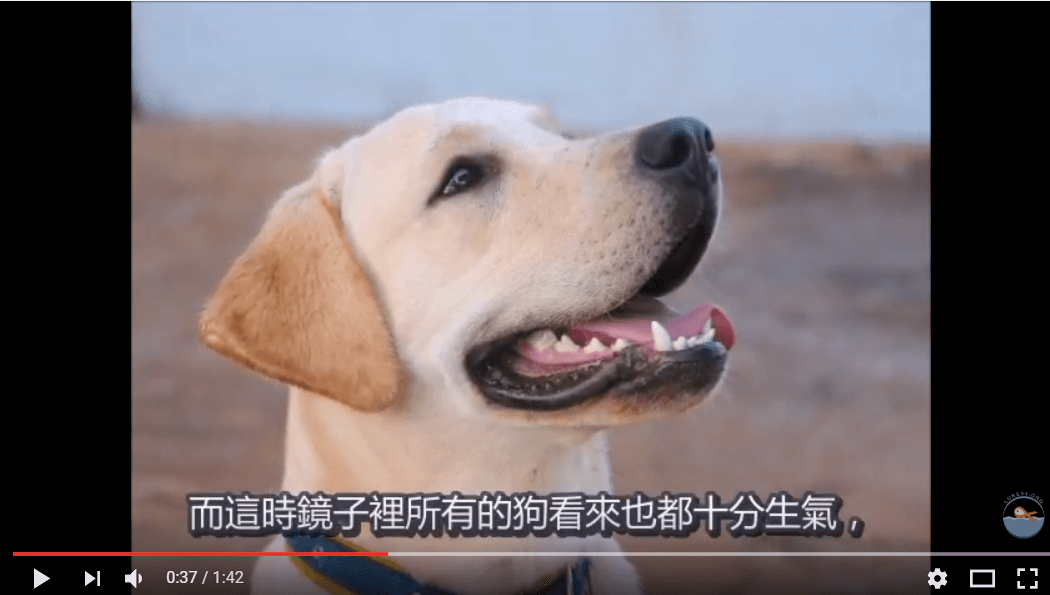 【水深聽故事】微笑一下有何妨