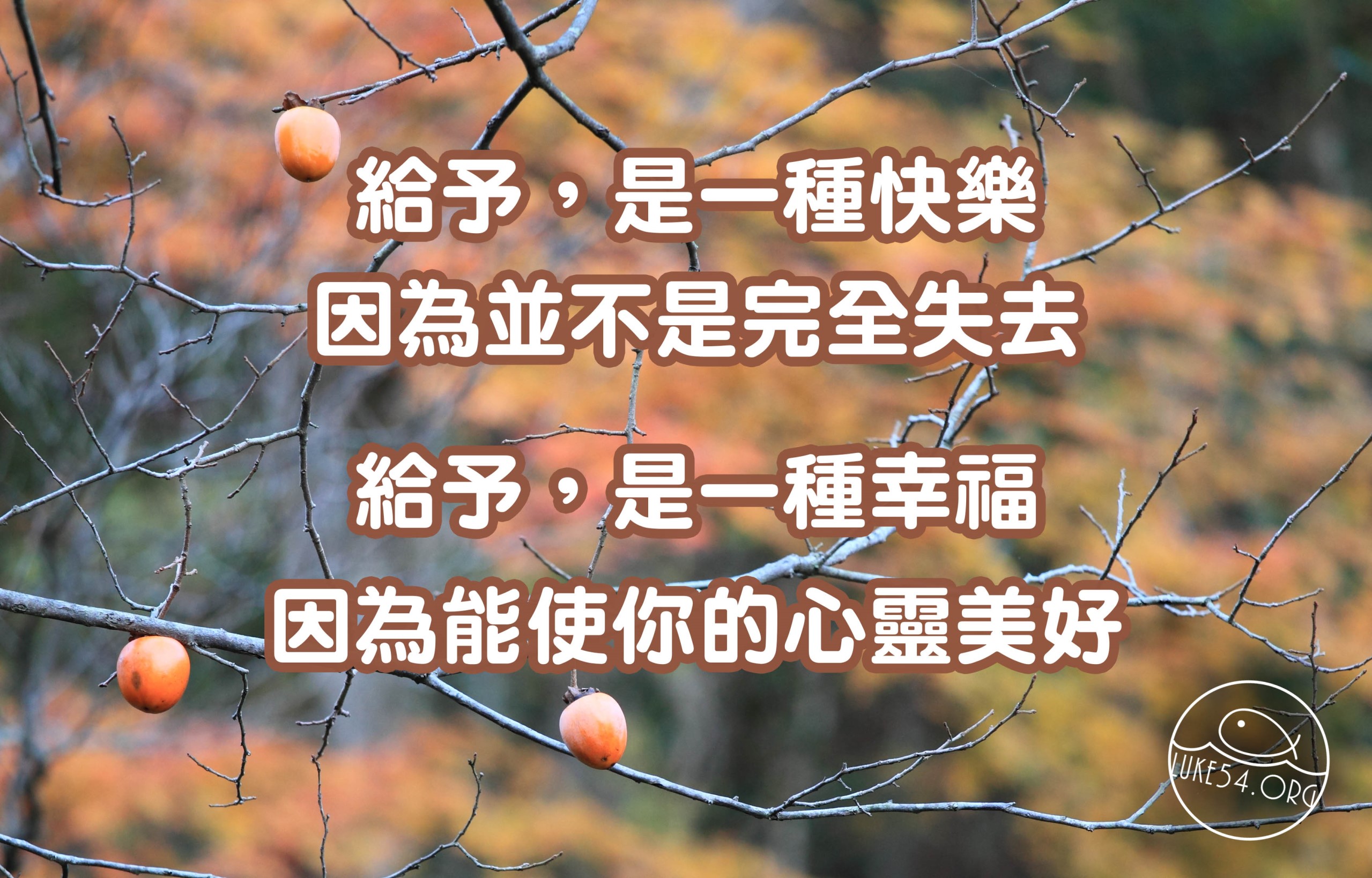 水深LINE精選】留幾枚柿子在樹上吧！