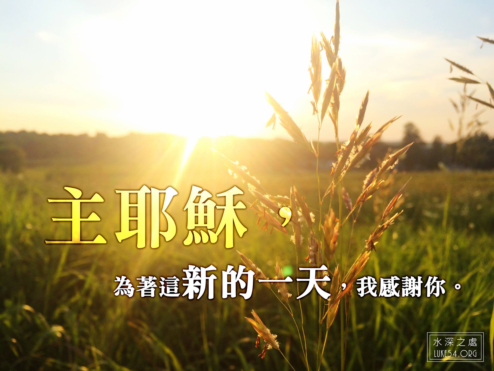 70+ 图片 早晨 新的 61 耶和華的憐恤,每早晨都是新的